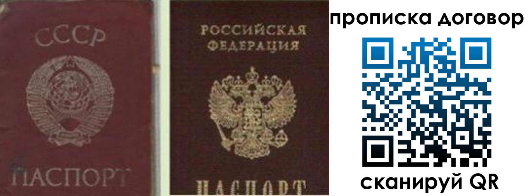 прописка гарантия в Петропавловске-Камчатском